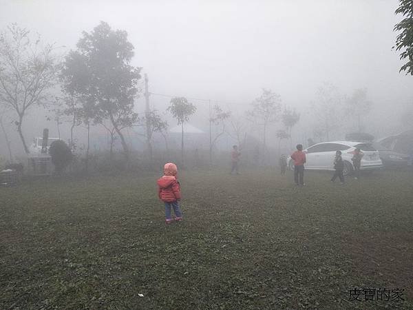 IMG20171231120629.jpg