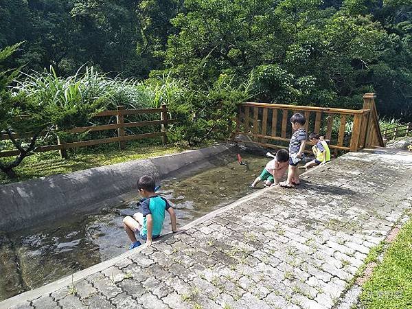 IMG20180617091412.jpg