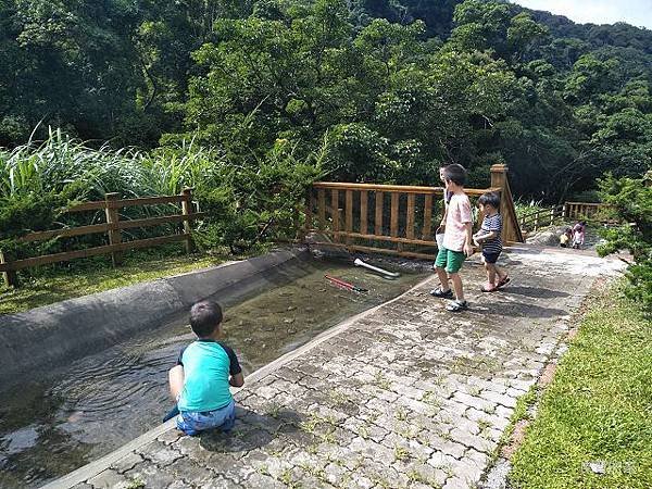 IMG20180617091403.jpg