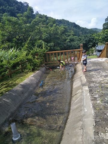 IMG20180617091419.jpg