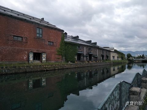 IMG20180629090547.jpg