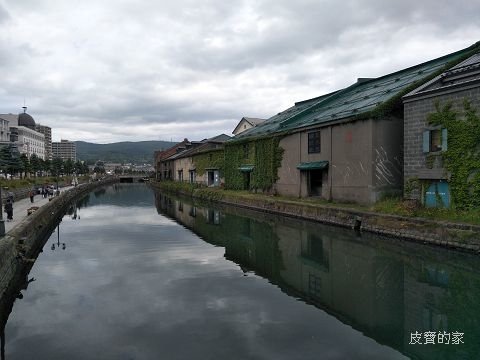 IMG20180629091131.jpg