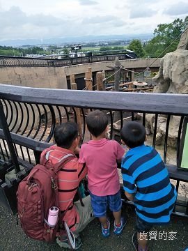 IMG20180702113232.jpg