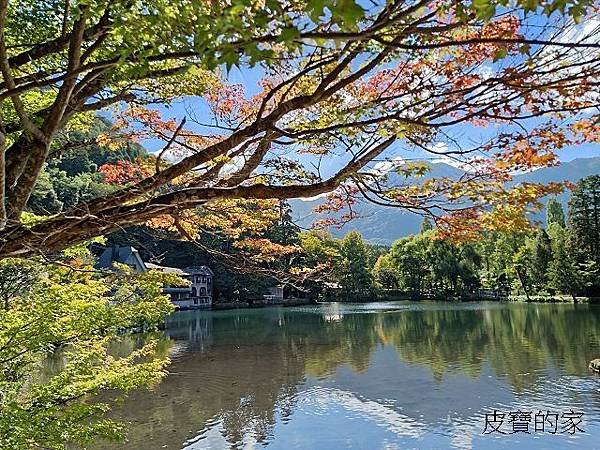 IMG20181008100458.jpg