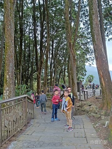 IMG20181230120731.jpg