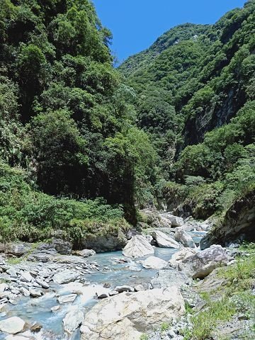 IMG20190731111646.jpg