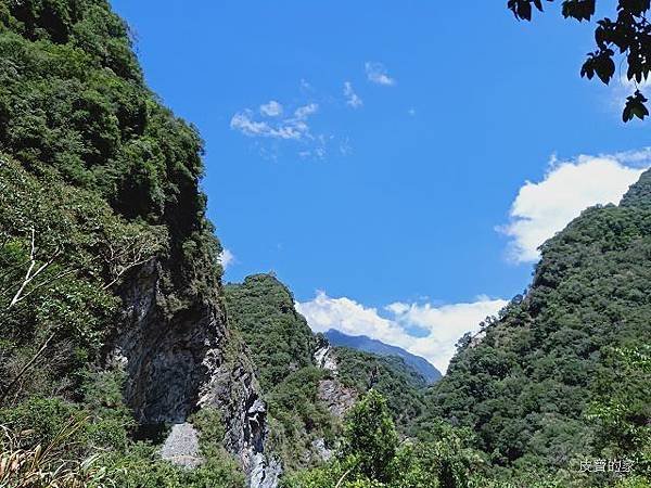 IMG20190731131230.jpg