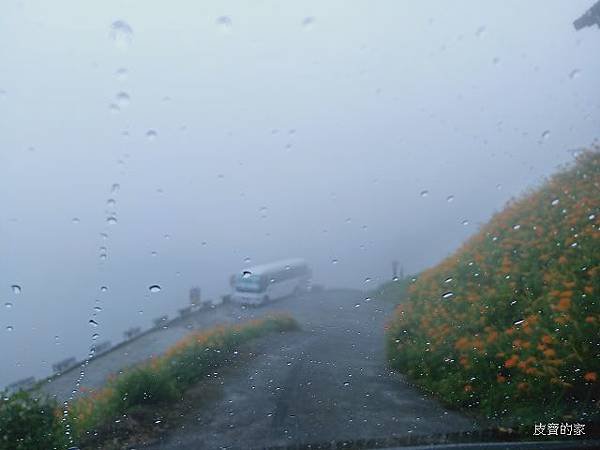 IMG20190806105330.jpg