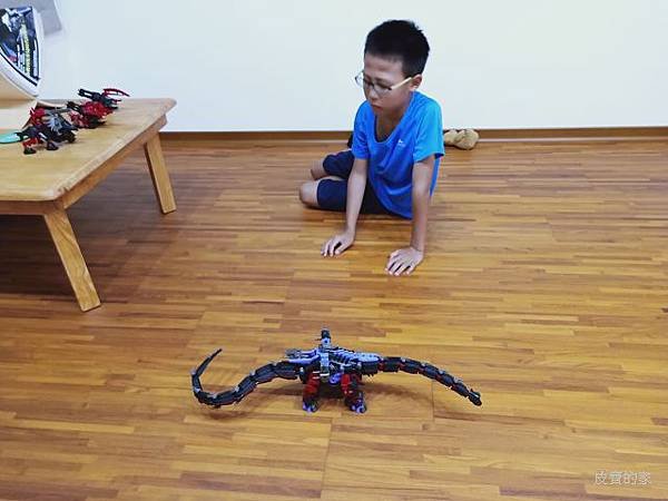 IMG20190806190439.jpg
