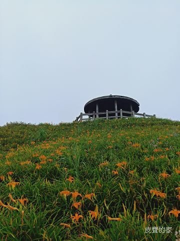 IMG20190806105054.jpg