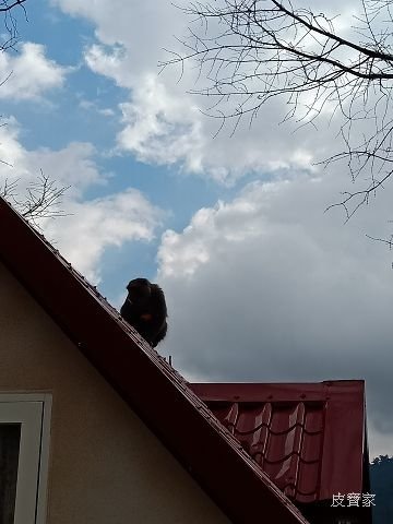IMG20200129092930.jpg