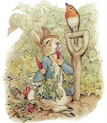 peter rabbit