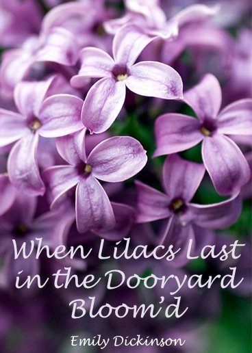 When_Lilacs_Last_in_the_Dooryard_Bloom