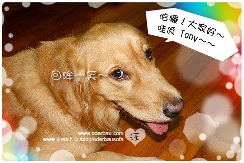Tony-02
