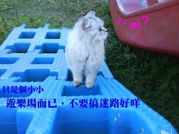 迷路有字.jpg
