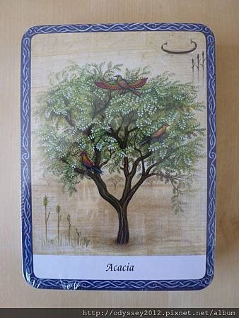 The Wisdom of Trees Oracle Cards-4