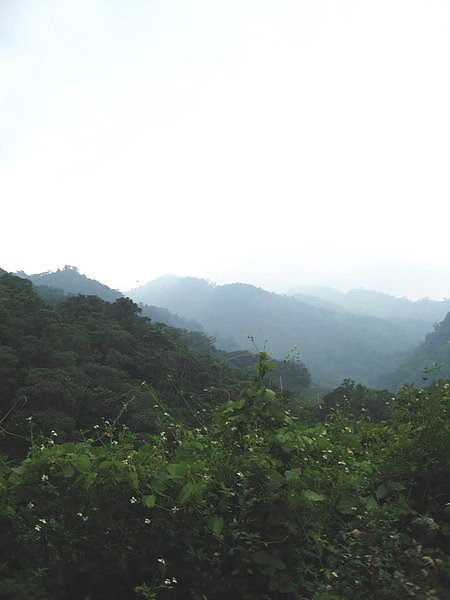 美麗的水景