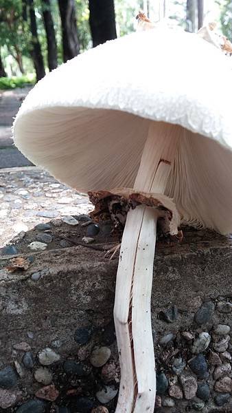 20150529_131527