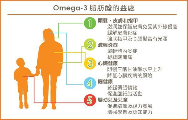 小編要帶你認識OMEGA-3 好處多多唷~ @ 魔塑美人&quot;魔法&quot;的雙手打造過後， ＂塑造＂出一位位漂亮的&quot;美人兒&quot; :: 痞客邦::