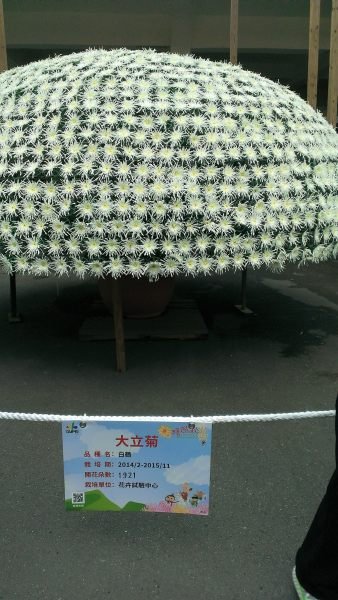 IMAG0353.jpg