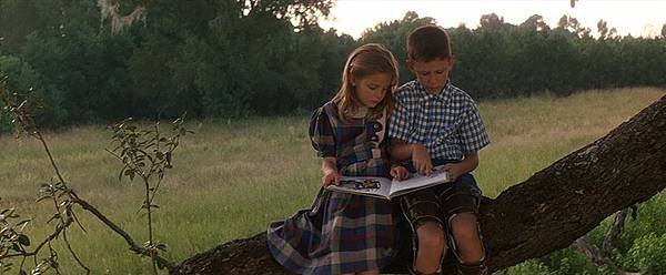 Forrest-Gump-forrest-gump-2210808-1014-419