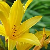 DSC00900.JPG