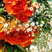 IMG_0437.JPG