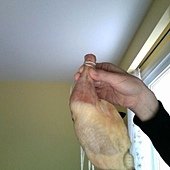 照片日期 2013-02-15時間 09.26 #2