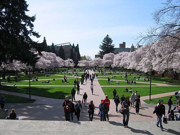 University-of-Washington-Spring