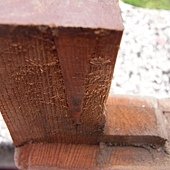 R0016357.JPG