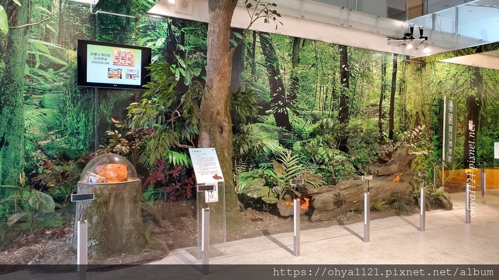 Honeyview_20191019_152127.jpg