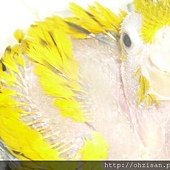 20130111之2