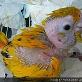 20130111之1