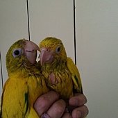 20130302之1