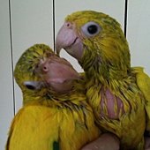 20130302之2