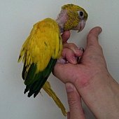 20130601