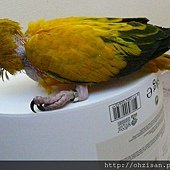 20130608