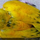 20130622之1