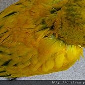 20130622之2