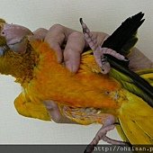 20130622之3