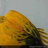 20130630之1