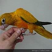 20130630之2