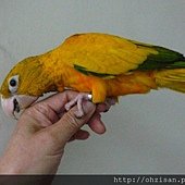 20130630之3