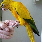 20130706之2