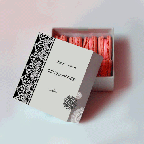 color macaron.gif