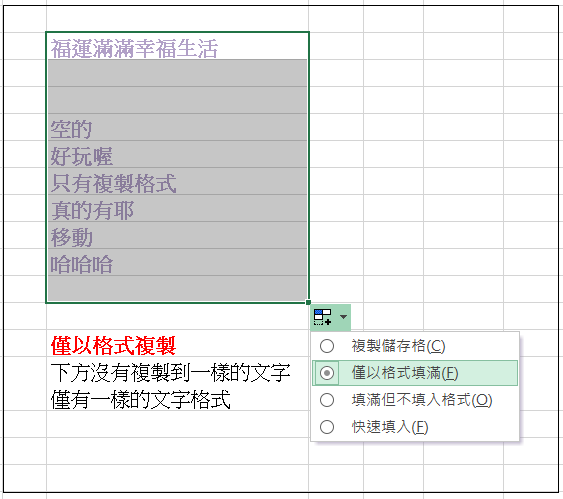 僅以格式填滿.png