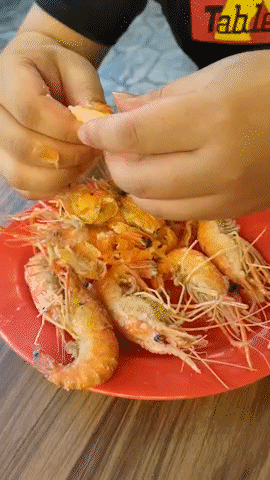 ee083b65-4c91-487f-a45f-ba00142cf85b_AdobeExpress.gif