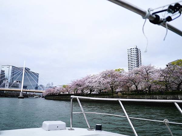 這邊是毛馬櫻之宮公園