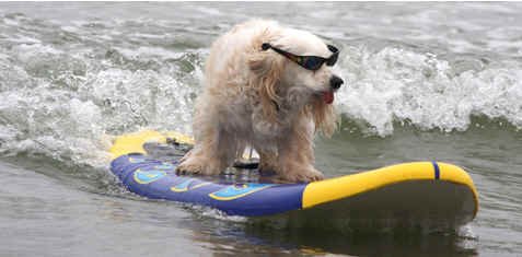 Looking cool even if the sea was a bit woof