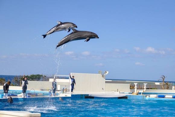 水族館